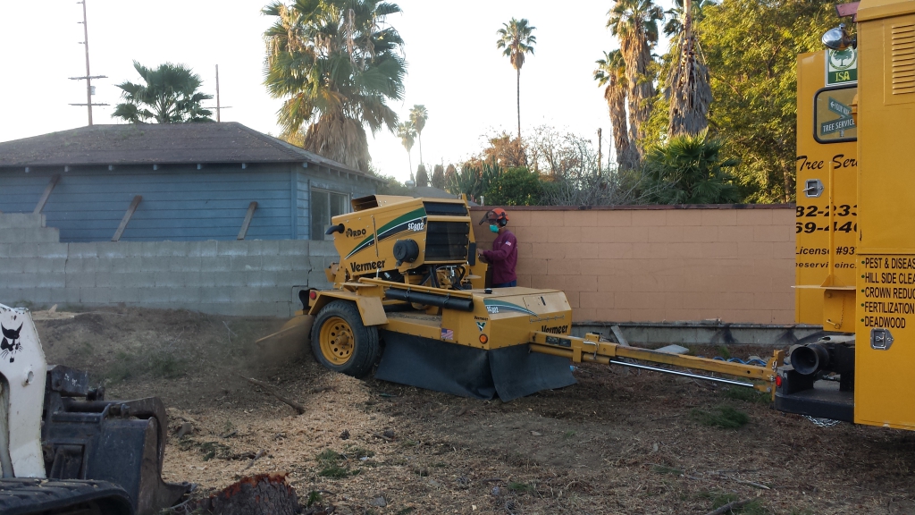 residential tree service