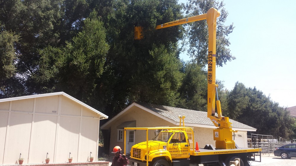 Affordable-Tree-Service-Company