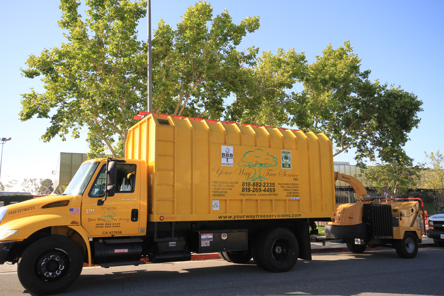 San Gabriel Tree Service Company