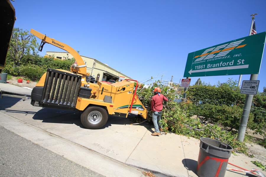 get your trees ready for the storm