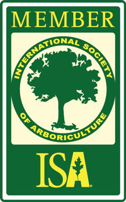 ISA member tree trimming