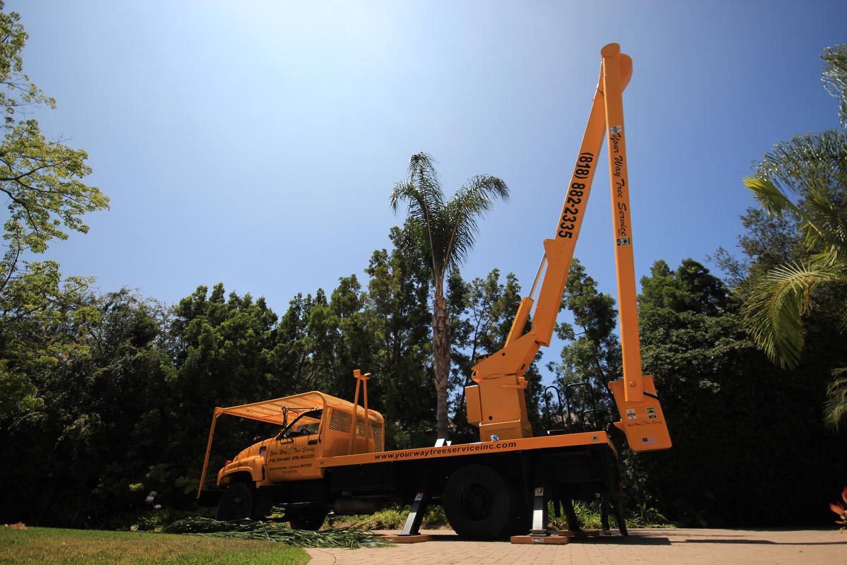 emergency tree service los angeles