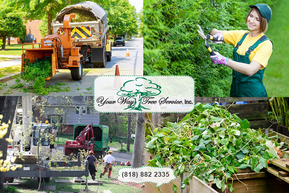 An Onsite Tub Grinder to Help Clear Property