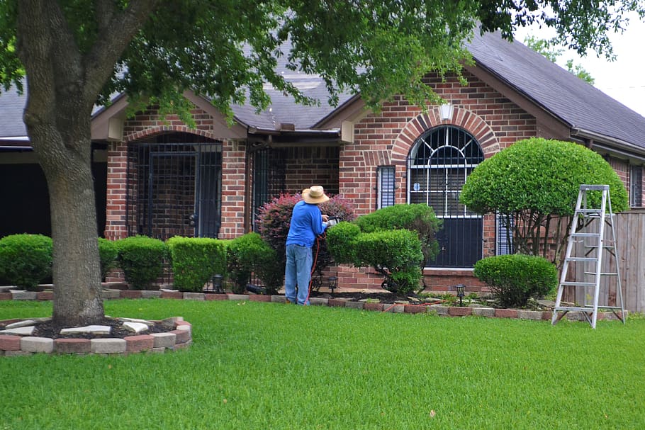 tree service in Valley Village