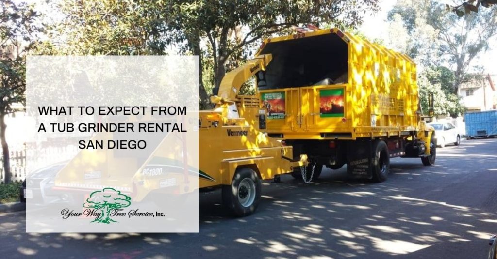 Tub Grinder Rental San Diego