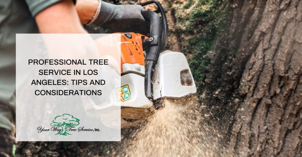 Tree Service in Los Angeles