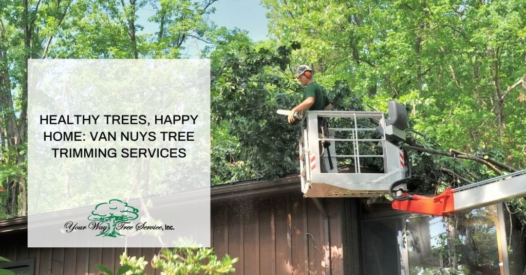 Tree Trimming Van Nuys