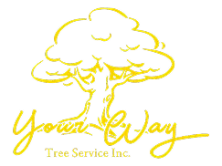 your way tree logo footer